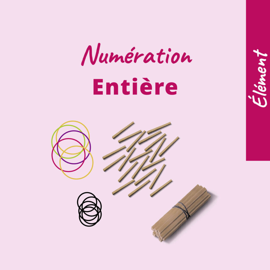 Rééducation numération entière - matériel orthophoniste